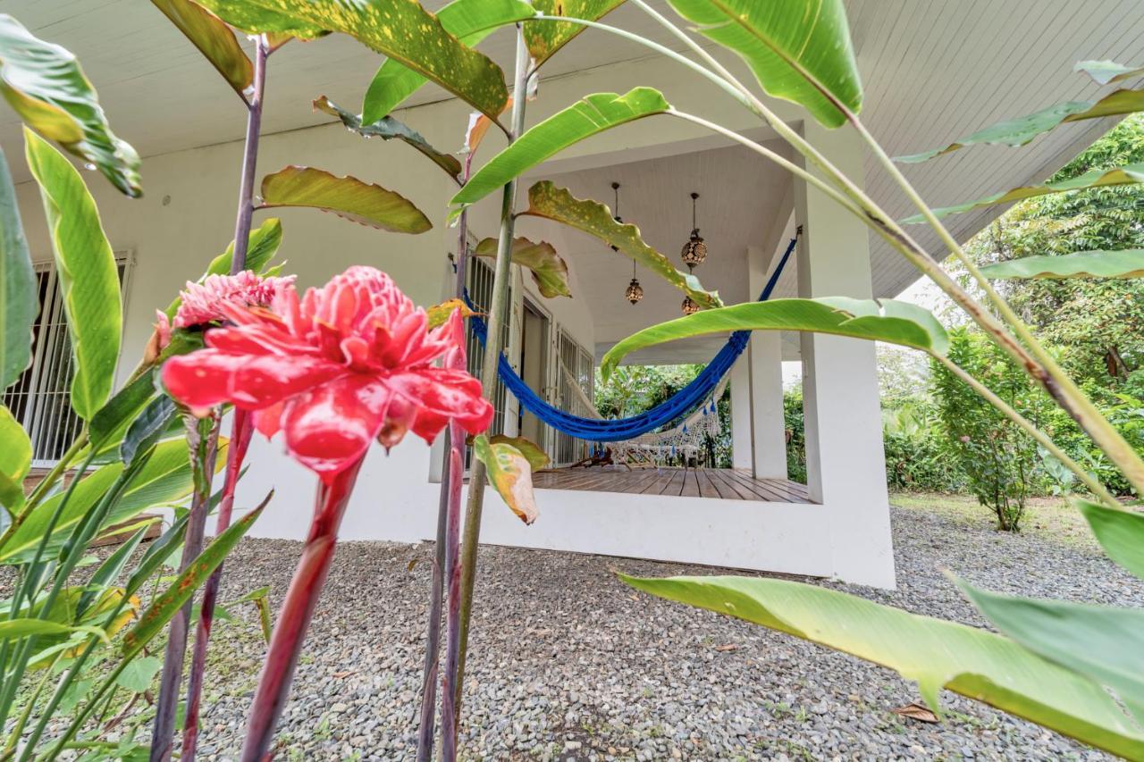 Pineapple House Manzanillo Villa Eksteriør billede
