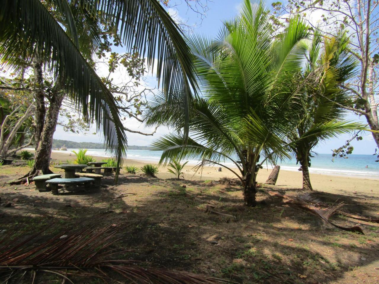 Pineapple House Manzanillo Villa Eksteriør billede