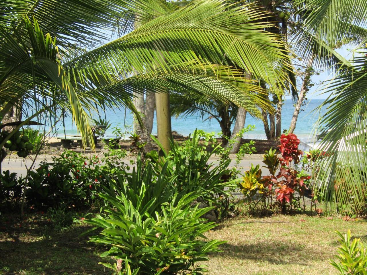 Pineapple House Manzanillo Villa Eksteriør billede