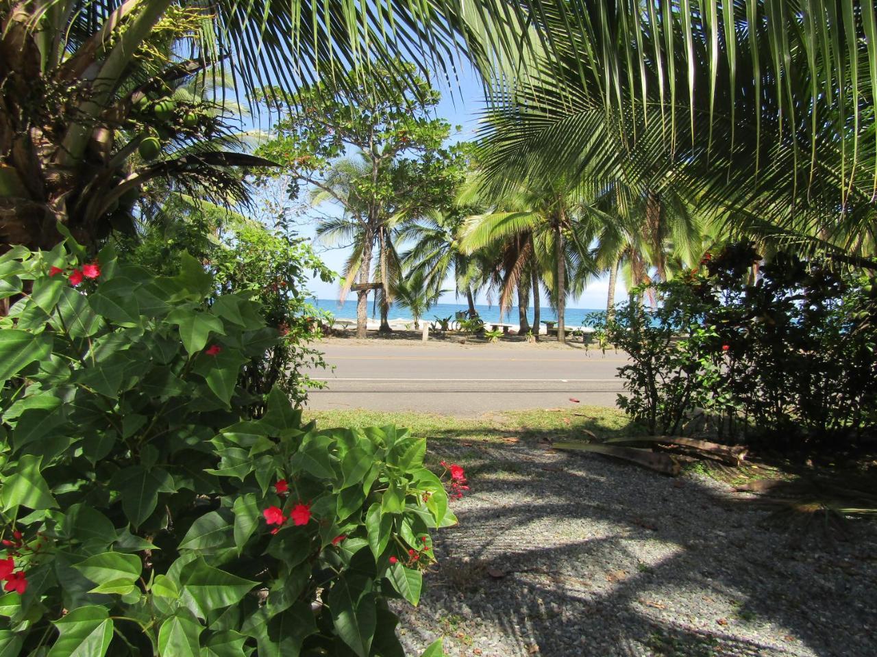 Pineapple House Manzanillo Villa Eksteriør billede